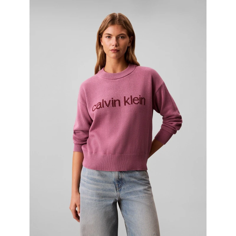 Image of Calvin Klein Jeans Womens Graphic Crew Neck Jumper Bordeaux female 10 (S)