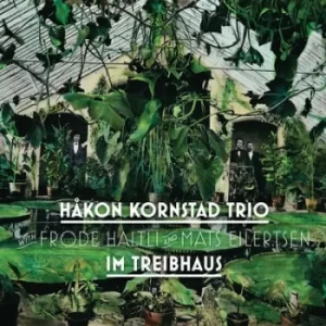 Image of Im Treibhaus by Håkon Kornstad Trio CD Album