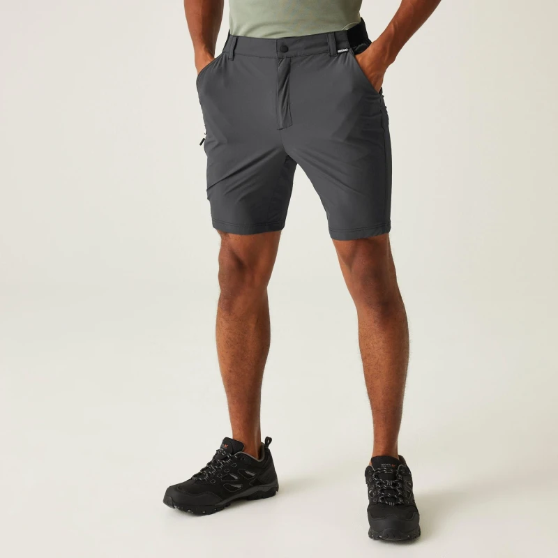 Image of Regatta Travel Light Packaway Shorts - Grey Grey 30
