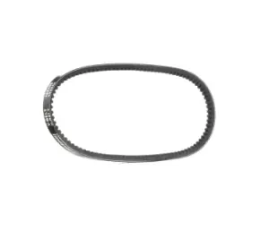 Image of RIDEX V Belt VW,RENAULT,FIAT 10C0051 117022383400,60523210,456918 Fenner Belt 95496894,0000007776570,71739908,7611334,7776570,007753009537,9339635111