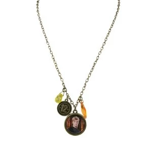 Image of Hunger Games - Peeta District 12 Single Chain Necklace
