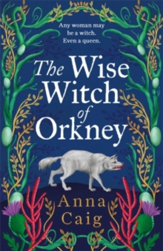 Image of The Wise Witch of Orkney : A spell-binding debut novel about Scotlands witch-hunting hysteria Hardback