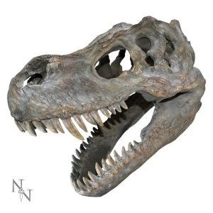 Image of Tyrannosaurus Rex Skull Small