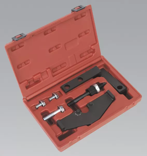 Image of Sealey VSE119 Petrol Engine Camshaft R + I & Crank Pulley Intsaller Kit