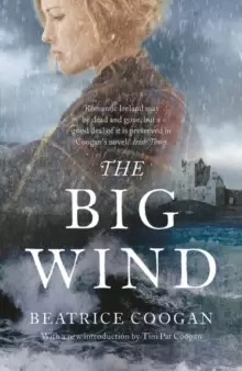 Image of The Big Wind