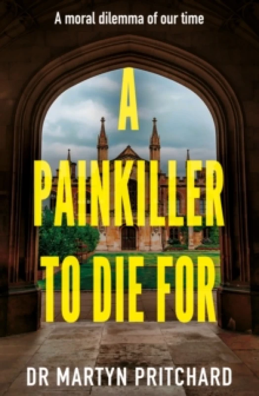 Image of A Painkiller to Die For Paperback / softback