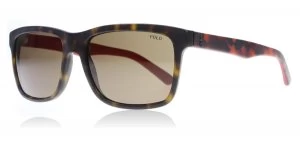 Image of Polo Ralph Lauren PH4098 Sunglasses Matte Tortoise / Red 560173 57mm