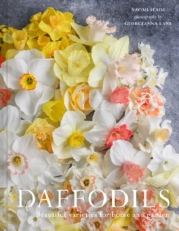 Image of Daffodils : Beautiful Varieties for Home and Garden Hardback