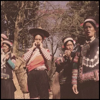 Image of Kink Gong - Voices Vinyl