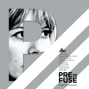 Image of Prefuse 73 - Forsyth Gardens Limited Edition Silver Transparent Vinyl