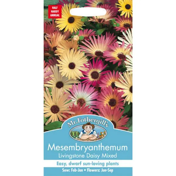 Image of Mr. Fothergill's Mesembryanthemum Livingstone Daisy Mixed (Dorotheanthus Bellidiformis) Seeds Multicoloured