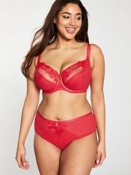 Image of Sculptresse by Panache Nico Embroidered Panel Brief Knickers - Red, Size 22, Women