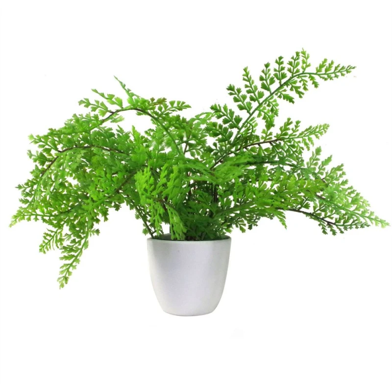 Image of Leaf 30cm Artificial Potted Royal Fern Green