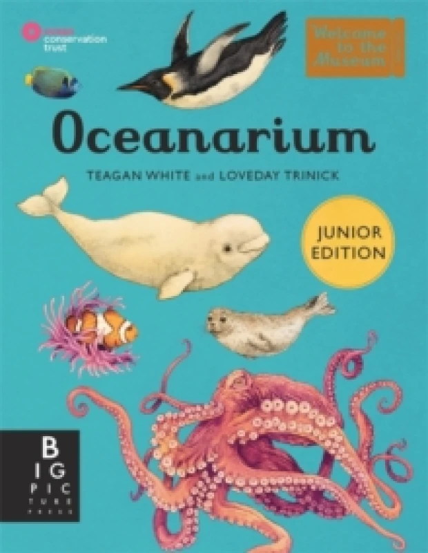 Image of Oceanarium (Junior Edition) Hardback