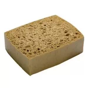 Image of Oakey Sand Sponge