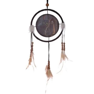 Image of Decorative Cat Design What Lies Within 16cm Dreamcatcher