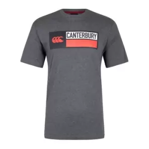 Image of Canterbury Cotton Logo T-Shirt Mens - Grey