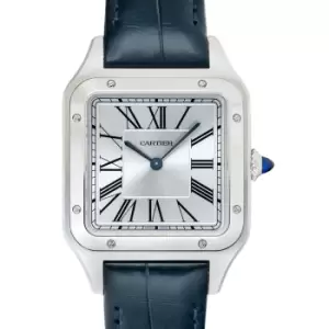 Image of Cartier WSSA0032