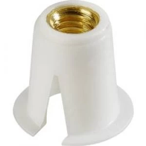 Image of Cap nut Polyamide x H 8mm x 0.3 mm