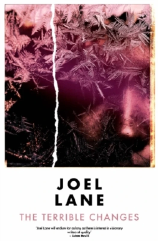 Image of The Terrible Changes Paperback / softback