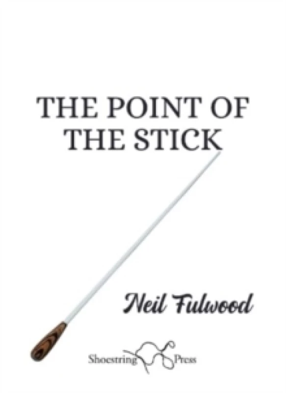 Image of The Point of the Stick Paperback / softback