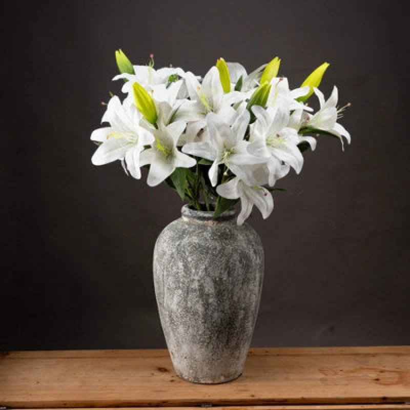 Image of White Lily