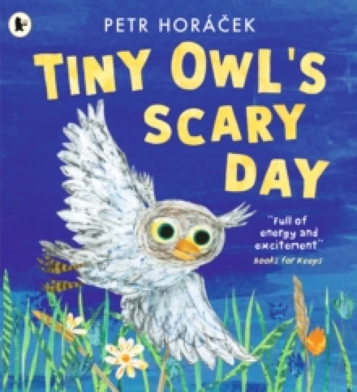 Image of Tiny Owl's Scary Day Paperback / softback