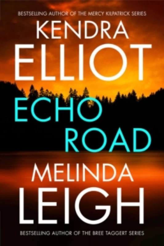 Image of Echo Road Paperback / softback
