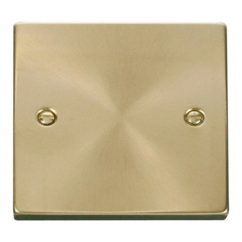 Image of SE Home Satin / Brushed Brass 1 Gang Blank Plate Gold unisex
