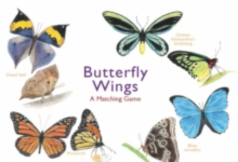 Image of Butterfly Wings : A Matching Game Cards