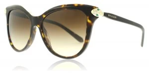 Image of Bvlgari BV8188B Sunglasses Dark Havana 504/13 57mm