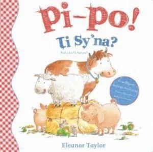 Image of Pi-Po Ti Syna by Eleanor Taylor Hardback