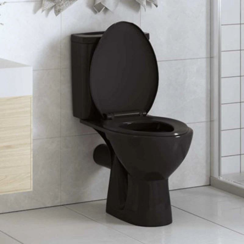 Image of VIDAXL Vidaxl - Soft-close Toilet Seat with Quick-release Design Black 8719883596211