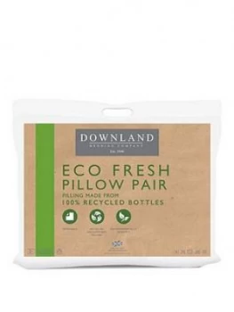 Image of Downland Downland Eco Pillow Pair