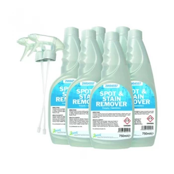 Image of 2Work Carpet SpotStain Remover 750ml Pack of 6 442