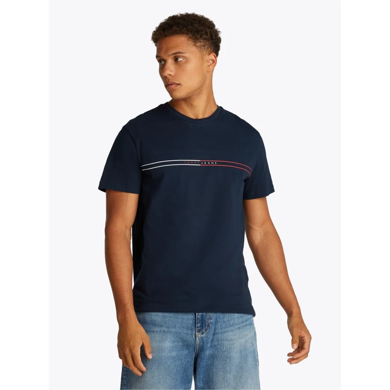 Image of Slim Fit T-Shirt with Coloured Stripes