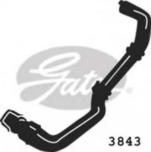 Image of Curved Radiator Hose 530mm X 32 Gates 3843