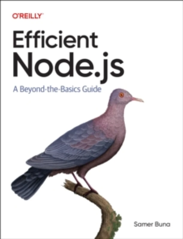 Image of Efficient Node.js : A Beyond The Basics Guide Paperback / softback