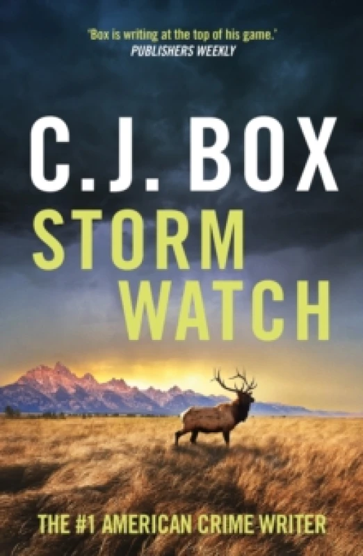 Image of Storm Watch Paperback / softback