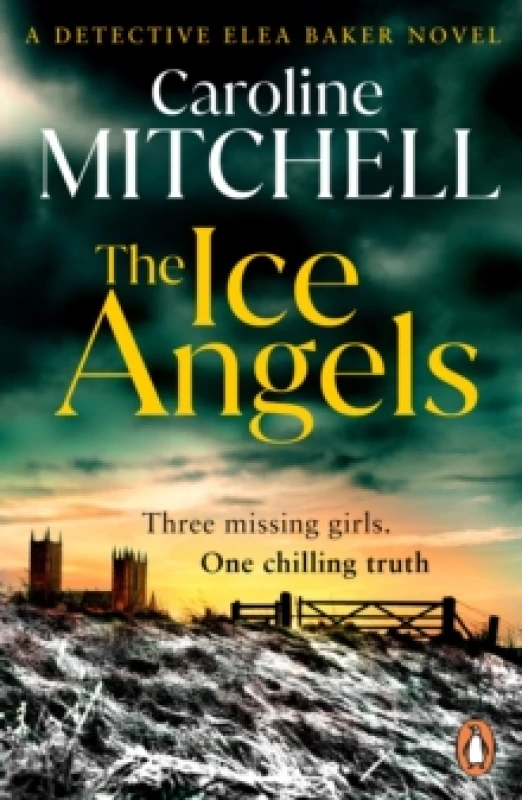 Image of The Ice Angels Paperback / softback