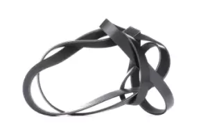 Image of RIDEX V-ribbed belt VW,AUDI,MERCEDES-BENZ 305P0105 059903137AB,059903137P,06E903137C 06E903137N,077903137D,4861322,4861322AB,5281276,AJ84137,C2S24900