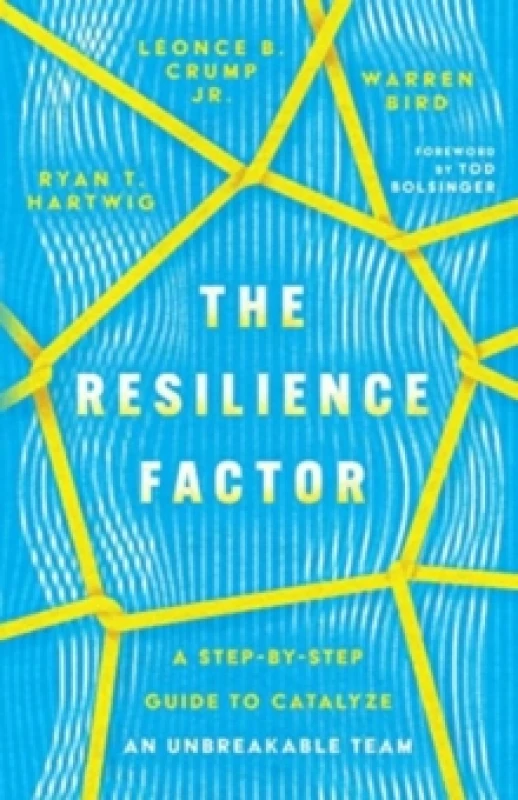 Image of The Resilience Factor A StepbyStep Guide to Catalyze an Unbreakable Team Paperback / softback