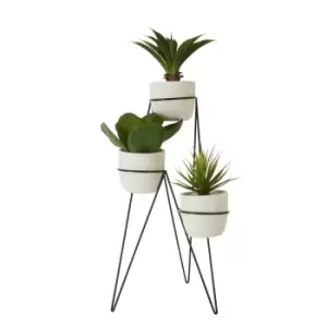 Image of 73cm Set of 3 Succulents, Floor Standing Ceramic Pot, Iron Stand