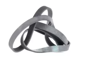 Image of CONTITECH V-ribbed belt 6PK1725 Serpentine belt,Auxiliary belt AUDI,OPEL,FIAT,A6 Avant (4A5, C4),A6 Limousine (4A2, C4),VECTRA B (36_)