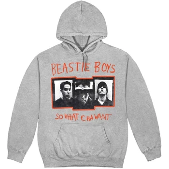 Image of The Beastie Boys - So What Cha Want Unisex Medium Hoodie - Grey