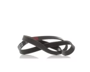 Image of RIDEX V-ribbed belt 305P0061 Serpentine belt,Auxiliary belt VW,OPEL,FORD,GOLF III (1H1),Caddy III Kombi (2KB, 2KJ, 2CB, 2CJ),SHARAN (7M8, 7M9, 7M6)