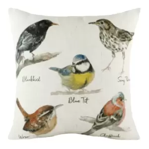 Image of Species Birds Cushion Multicolour, Multicolour / 43 x 43cm / Polyester Filled