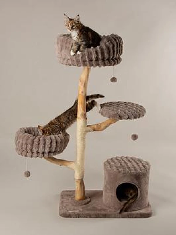 Image of Scruffs Pyrenees Cat Scratching Tree TRE/RCD/666889