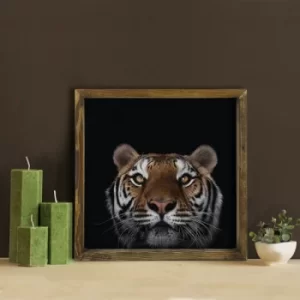 Image of MZM687 Multicolor Decorative Framed MDF Painting