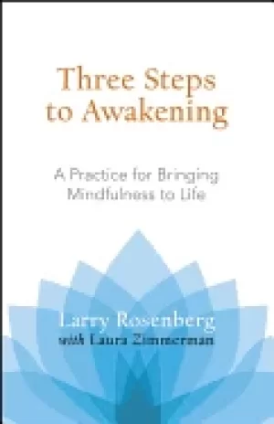 Image of three steps to awakening a practice for bringing mindfulness to life